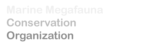 Marine megafauna conservation organization
